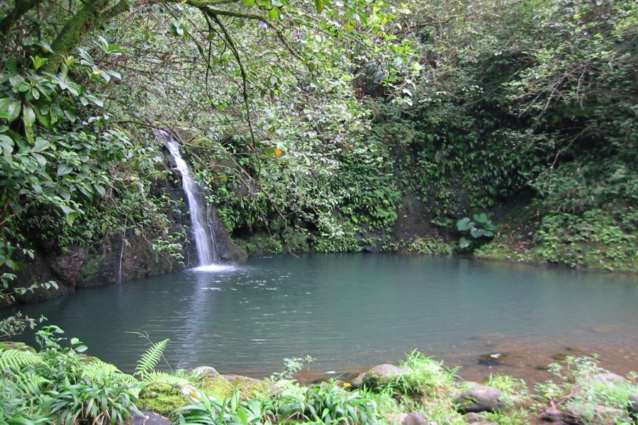 ../image/haipuaena falls.jpg